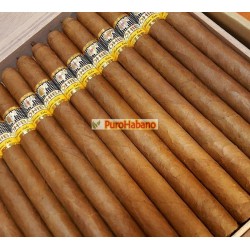 Los cinco mejores puros habanos del planeta